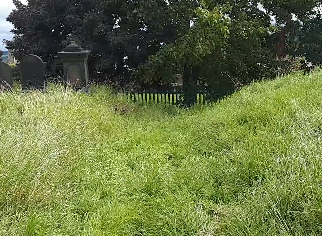 TASK4 – this area slopes down to the Chapel Walk pathway (photo taken in Summer 2020)